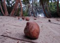  Vaali Beach Lodge