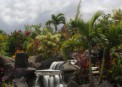 Arenal Kioro Suites & SPA:     