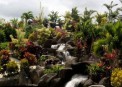 Arenal Kioro Suites & SPA,     , -