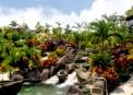 Arenal Kioro Suites & SPA:    