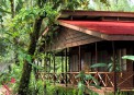 Pachira Lodge, , -