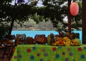 Pachira Lodge, , -
