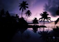 Paradise Taveuni