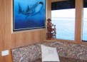 :  Whale Shark (,  )