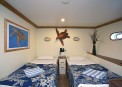 :  Turtle (,  )