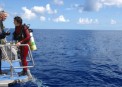 Dive entry on Spoilsport