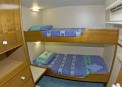 Spoilsport Budget Cabin