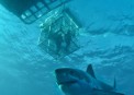    :     SCUBA 