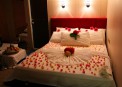  :  DBL Suite