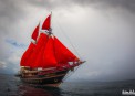 Calico Jack