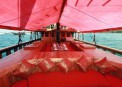 Calico Jack_7