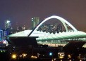    (Moses Mabhida Stadium)