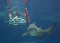    (Ushaka Marine World)