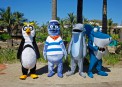    (Ushaka Marine World)