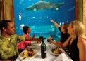    (Ushaka Marine World)