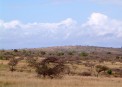  - (Hluhluwe & Imfolozi Game Reserve)