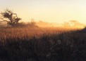  - (Hluhluwe & Imfolozi Game Reserve)