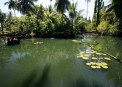 Tasik Ria Resort & SpaManado