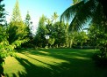 Bali Tropic: 