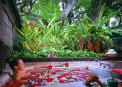 Bali Hyatt