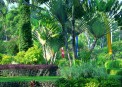 Bali Hyatt