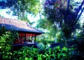 Bali Hyatt