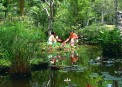 Bali Hyatt