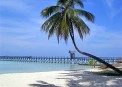Sipadan Water Village