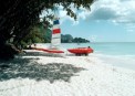 Augerine - 