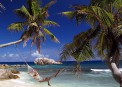 Cousine Island