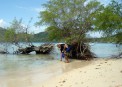 Dive Link Resort