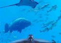 Atlantis