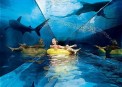Atlantis