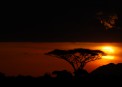 Sundown in Serengeti National Park