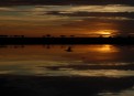 Sunrise in Lake Ndutu