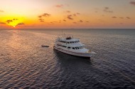 Sunset Queen