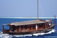 Dhoni Stella 1