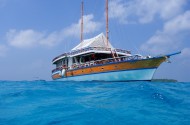 Nautilus One