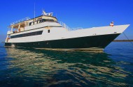Avalon 1