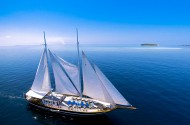 Dream Voyager