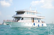 Top Cruiser