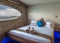  Dolphin Suite