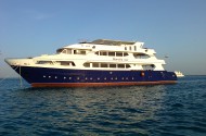 Marselia Star